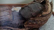 Hlava mumie z kultury Chinchorro, kterou našli v severní Chile.