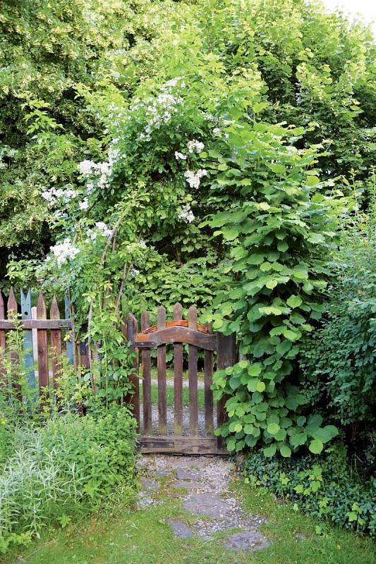 Kvetoucí trvalky, bylinky a staré odrůdy růží jsou v unikátní zahradě v Plavsku stejně doma  jako užitečné včely a motýli.