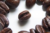 Kávová zrna. Ilustrační foto
