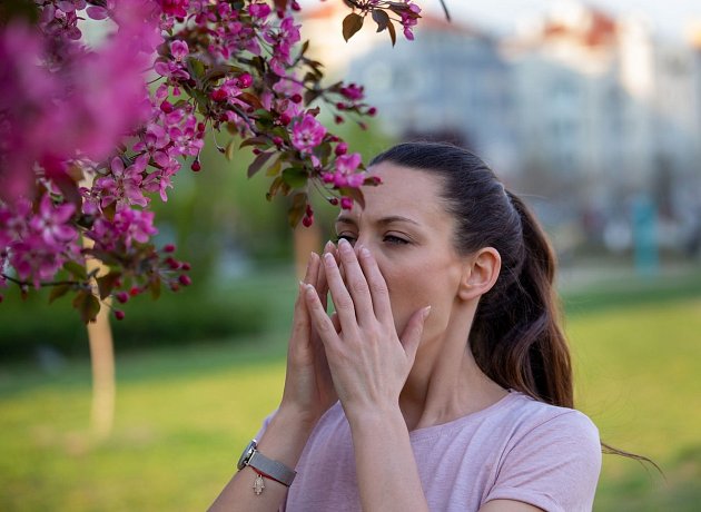 Sezona pylových alergií propukla: Co kvete, jak se kříží, jak rozlišit virózu