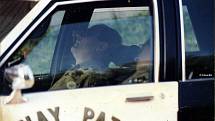 Unavený policista odpočívá na DeLongpre Avenue v Hollywoodu