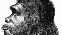 Pravděpodobná podoba neandertálců