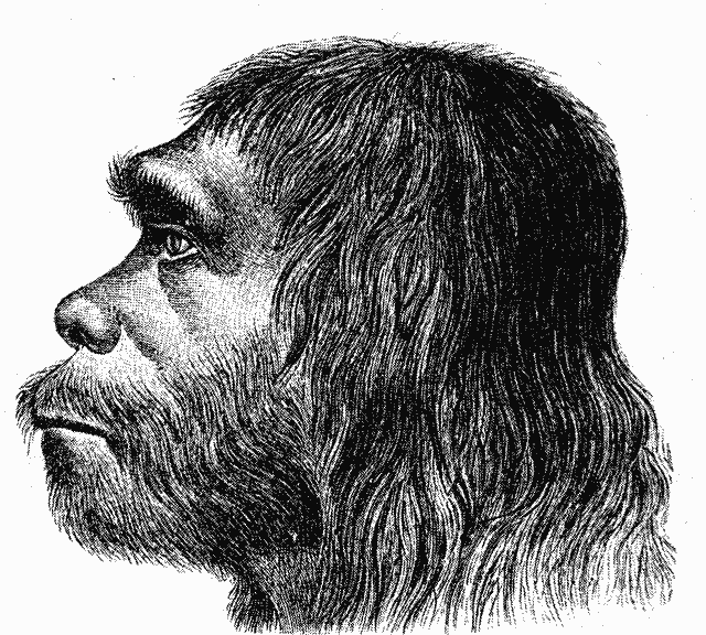 Pravděpodobná podoba neandertálců