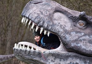 DinoPark Ostrava nabízí přehlídku prehistorických tvorů.