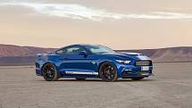 Shelby Super Snake 50th Anniversary.