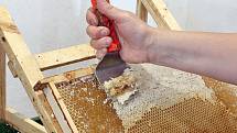 Odstrańování víček lze provádět i strojově, to se ale vyplatí pouze velkovčelařům.