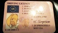 Řidičský průkaz Homera Simpsona.