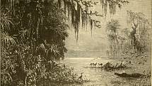Země Seminolů. Po první seminolské válce se ukryli v těžko prostupných floridských močálech hluboko ve vnitrozemí