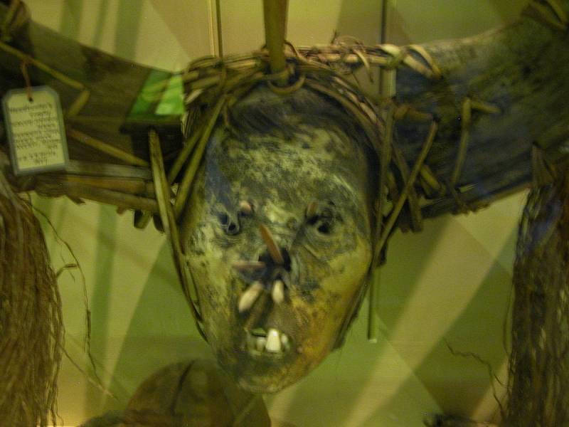Další scvrklá hlava ze sbírek muzea Pitt Rivers Museum, Oxford