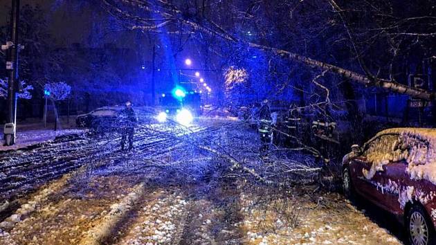Hasiči odstraňují spadlý strom na zasněžené vozovce v Českých Budějovicích, 6. prosince 2022