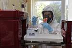 Rusko ohlásilo objev vakcína proti koronaviru