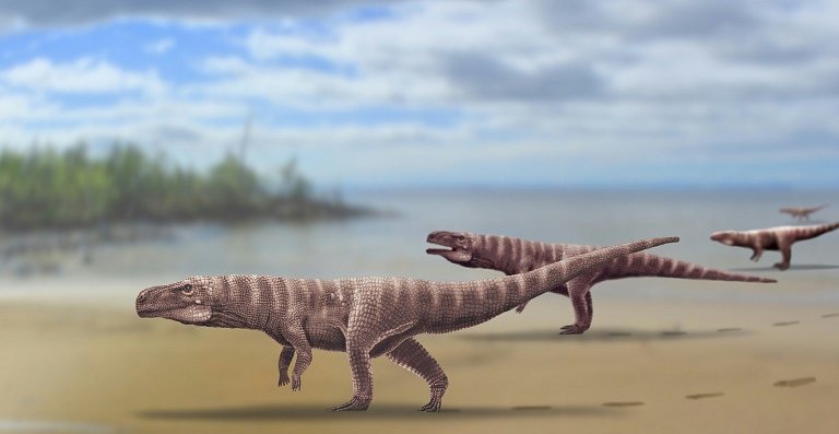 Umělecká rekonstrukce obrovského krokodýlího předka Batrachopus grandis. Stopy naznačují, že se pohyboval jen po zadních