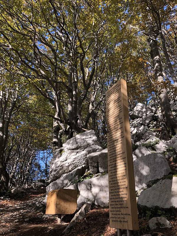 Risnjak byl vyhlášen národním parkem v roce 1953, a to pro svou unikátní geomorfologickou a klimatickou rozmanitost.