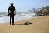 Důsledek lodního požáru? Moře vyplavilo na pobřeží Srí Lanky sto mrtvých želv