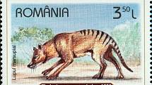 Vakovlk tasmánský na rumunské poštovní známce
