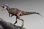 Nově objevený předek Tyrannosaura rexe dostal jméno Moros intrepidus.