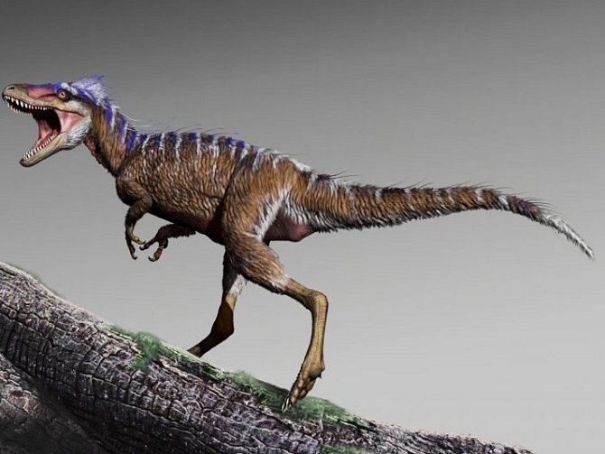 Nově objevený předek Tyrannosaura rexe dostal jméno Moros intrepidus.