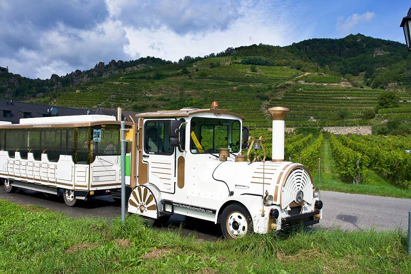 Pohled na vinice z vláčku. Vinařská turistika v údolí Dunaje.