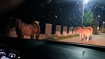 Takhle to vypadá na rumunských silnicích v nočních hodinách.