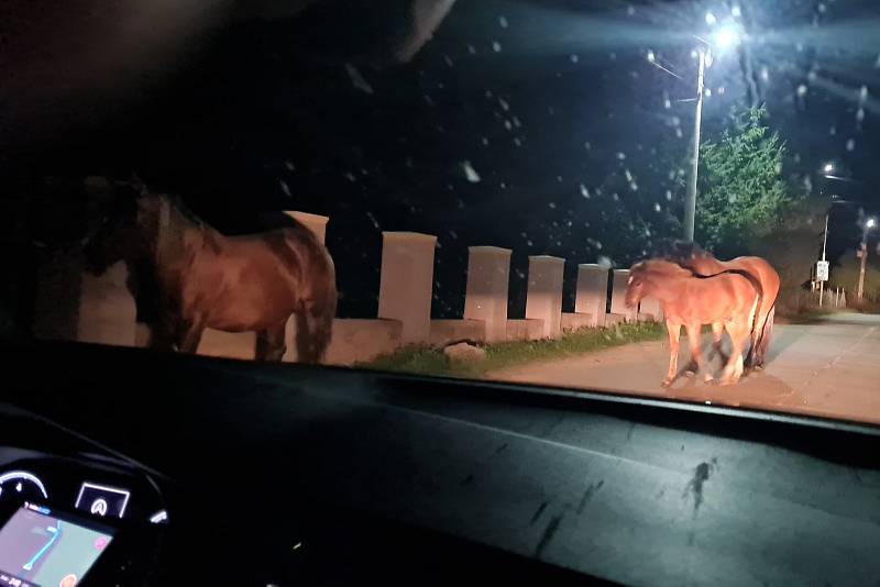 Takhle to vypadá na rumunských silnicích v nočních hodinách.