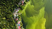 Dron zachycuje kontrast mezi lesem, vesnicí a porostem řas v jezeře Amatitlán.
