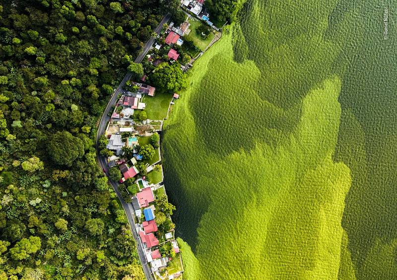 Dron zachycuje kontrast mezi lesem, vesnicí a porostem řas v jezeře Amatitlán.