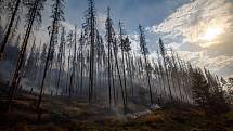 Požár v Českém Švýcarsku poničil rozsáhlé lesní plochy