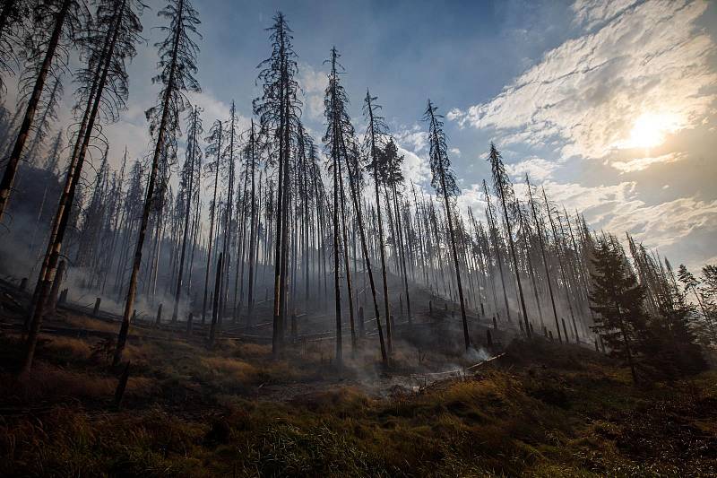 Požár v Českém Švýcarsku poničil rozsáhlé lesní plochy