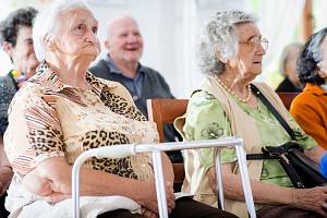 Podle Českého statistického úřadu (ČSÚ) stoupl mezi lety 2010 až 2021 počet pracujících seniorů nad šedesát let o 78 procent