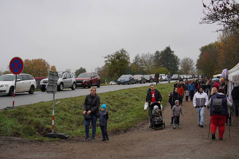 Výlov rybníku Vrkoč na Brněnsku 2022. Po dvouleté pauze třídenní akce nalákala tisíce lidí.