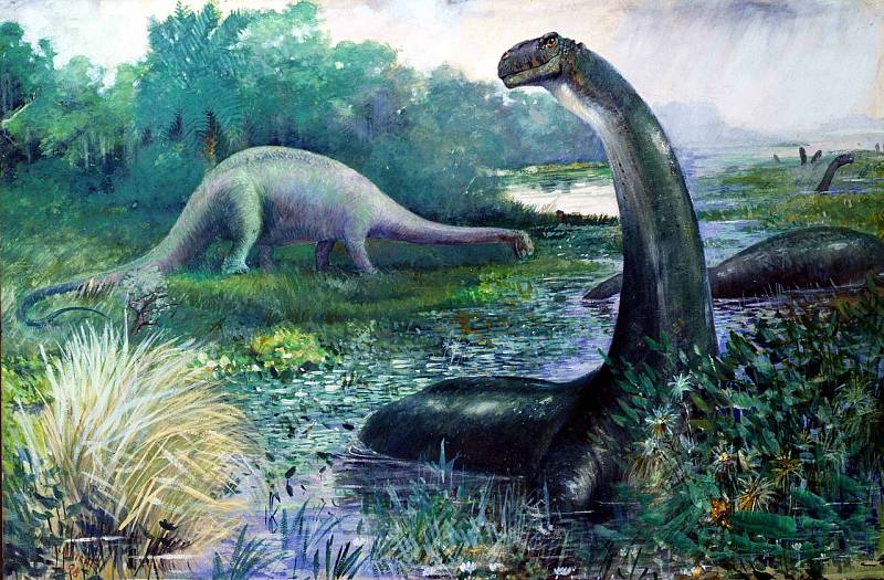 Velikost Brontosaura vedla kdysi vědce k úvahám, že ho nadnášela voda a dlouhý krk používal jako šnorchl. Tuto hypotézu všda nakonec odmítla, ale některé indicie naznačují, že s mělkou vodou se přece jen mohl kamarádit