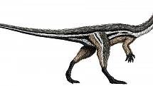 Mezi teropody, tedy tříprsté masožravé dinosaury, patřil i Coelophysis