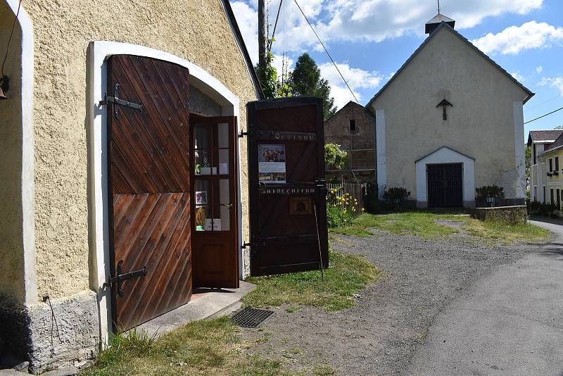 Užovka stromová je pro obyvatele celého pásu Poohří sousedem po staletí.