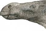 Nově popsaný dinosaurus Brighstoneus simmondsi se od ostatních odlišoval baňatým nosem. Vyskytoval se na britském ostrově Wight.