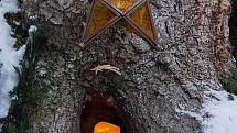 Malé jesličky pod kořeny stromu ve Frastanzu v Rakousku