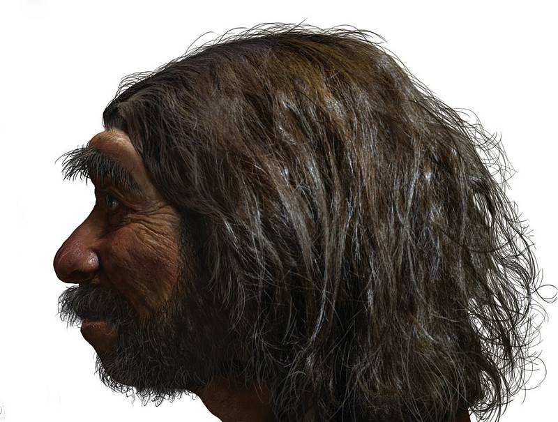 Dračí člověk (Homo longi)