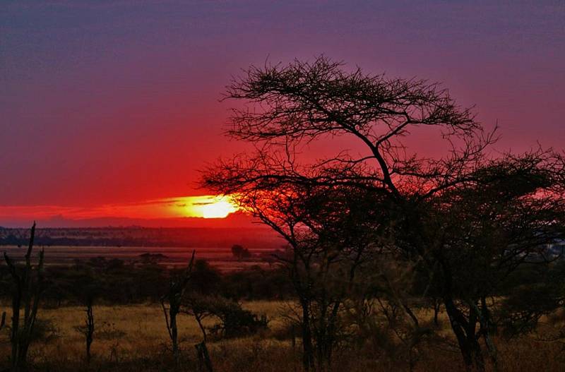 Tanzánie představuje kus exotiky