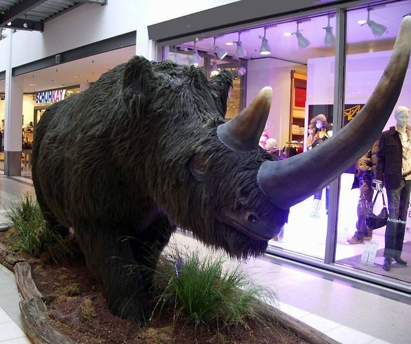 Model nosorožce srstnatého v nákupním středisku