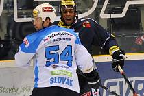 Tomáš Slovák z Plzně (vlevo) a Wayne Simmonds z Liberce.