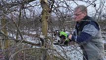 K ovocnářskému hřbitovu přirovnal předseda Ovocnářské unie Martin Ludvík situaci na své rodinné farmě, kde musí zlikvidovat několik tisíc jabloní. V Česku pak podle něj zmizí za pár měsíců přes dva tisíce hektarů ovocných sadů