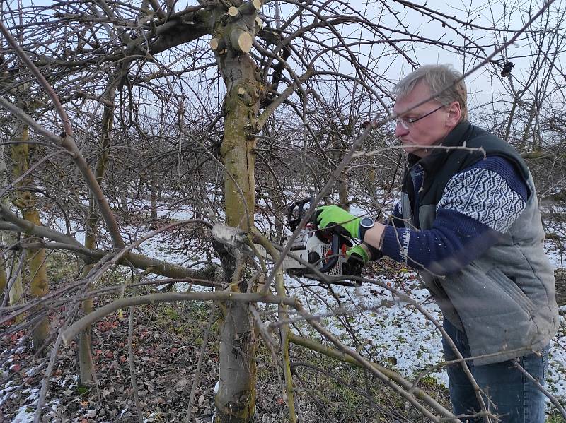 K ovocnářskému hřbitovu přirovnal předseda Ovocnářské unie Martin Ludvík situaci na své rodinné farmě, kde musí zlikvidovat několik tisíc jabloní. V Česku pak podle něj zmizí za pár měsíců přes dva tisíce hektarů ovocných sadů