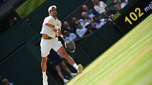 Novak Djokovič na Wimbledonu.