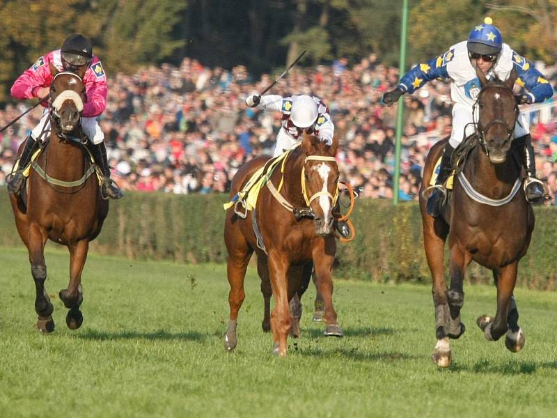 Velká pardubická 2015: Marek Stromský a Nikas míří za triumfem