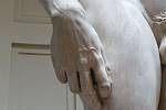 I když je Michelangelův David považován za dokonalé zobrazení lidského těla, jeho pravá ruka proporčně neodpovídá zbytku postavy - je nepoměrně velká