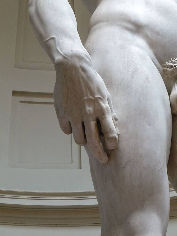 I když je Michelangelův David považován za dokonalé zobrazení lidského těla, jeho pravá ruka proporčně neodpovídá zbytku postavy - je nepoměrně velká.