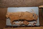 Staří Egypťané nemumifikovali jen vlastní zemřelé, ale i zvířata. K nedávným nálezům patří mumie pěti lvíčat