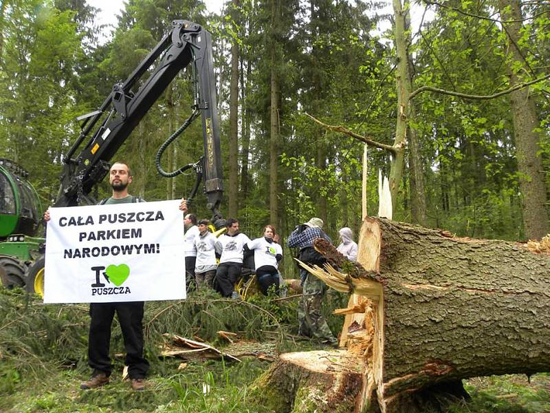 Proti kácení posledního zbytku původního evropského pralesa protestovaly stovky aktivistů