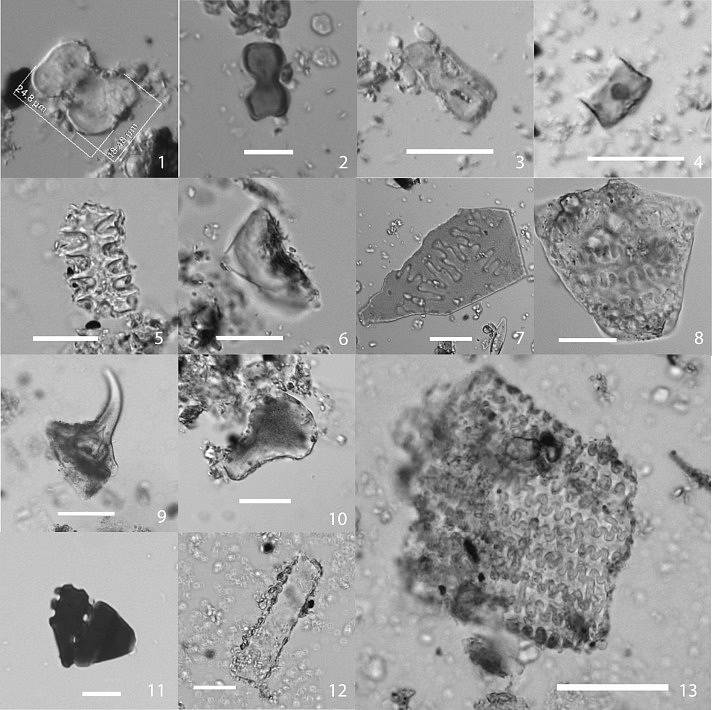 Podle archeologů znali staří Číňané minimálně dva způsoby přípravy alkoholických nápojů. Ty pak skladovali v amforách