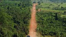 Transamazonská dálnice  v deštném pralese v brazilské Amazonii