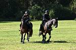 Koně policisté kupují kolem třech a až pěti let věku zvířat. A pak jde o to, jaké má konkrétní zvíře předpoklady, rodokmen, genetický základ.
